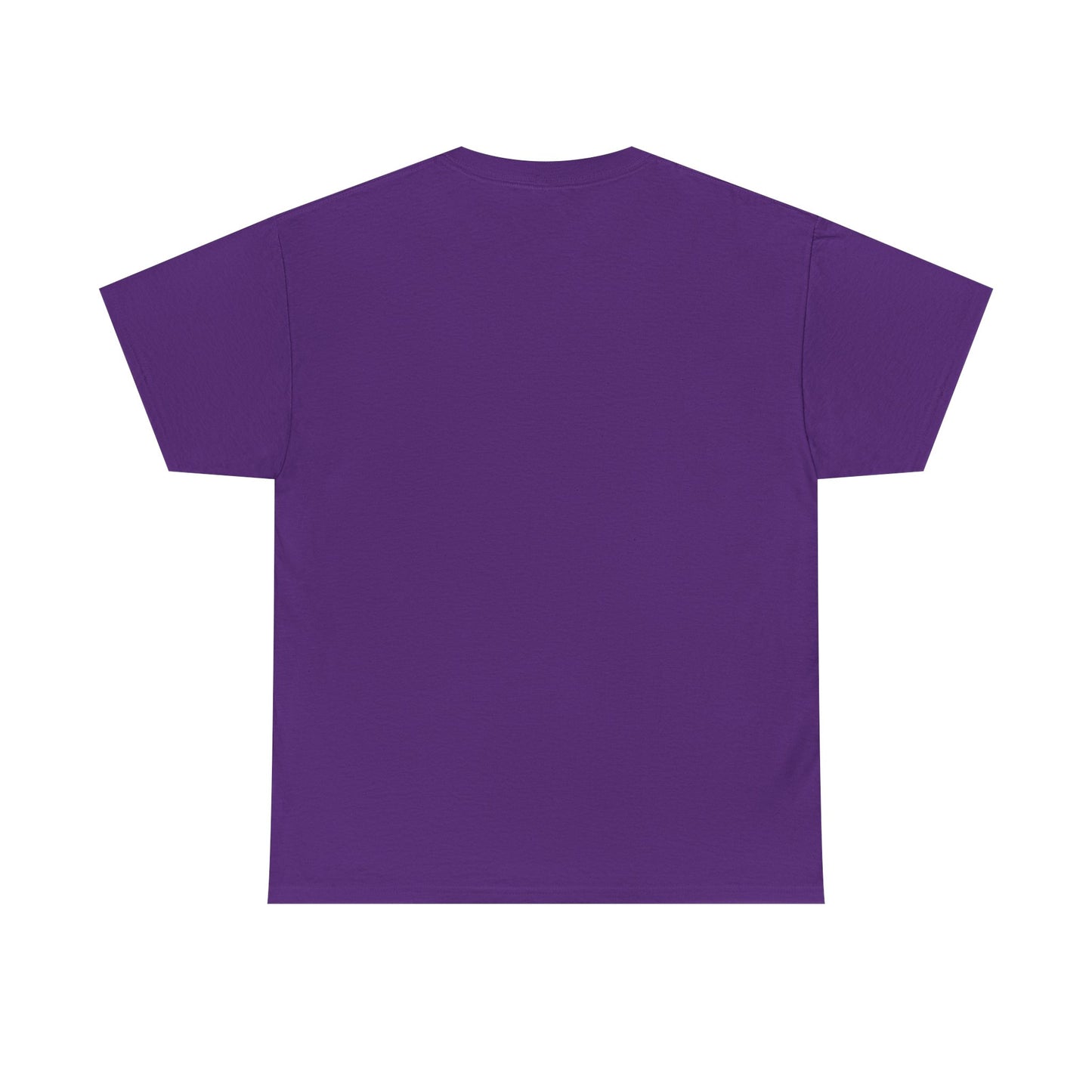 Hyperfixation Burlesque Raccoon T-Shirt - Multiple Colours