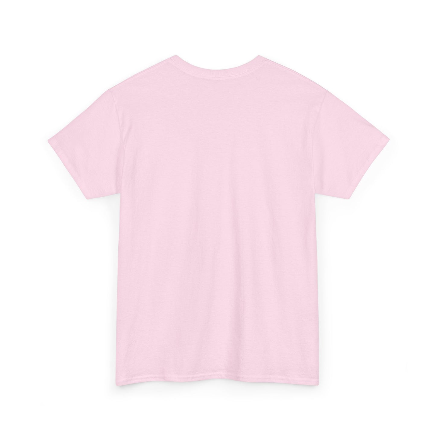 Great Social Cue! Shame I Missed It – Neurodivergent Raccoon T-Shirt - Multiple Colours!