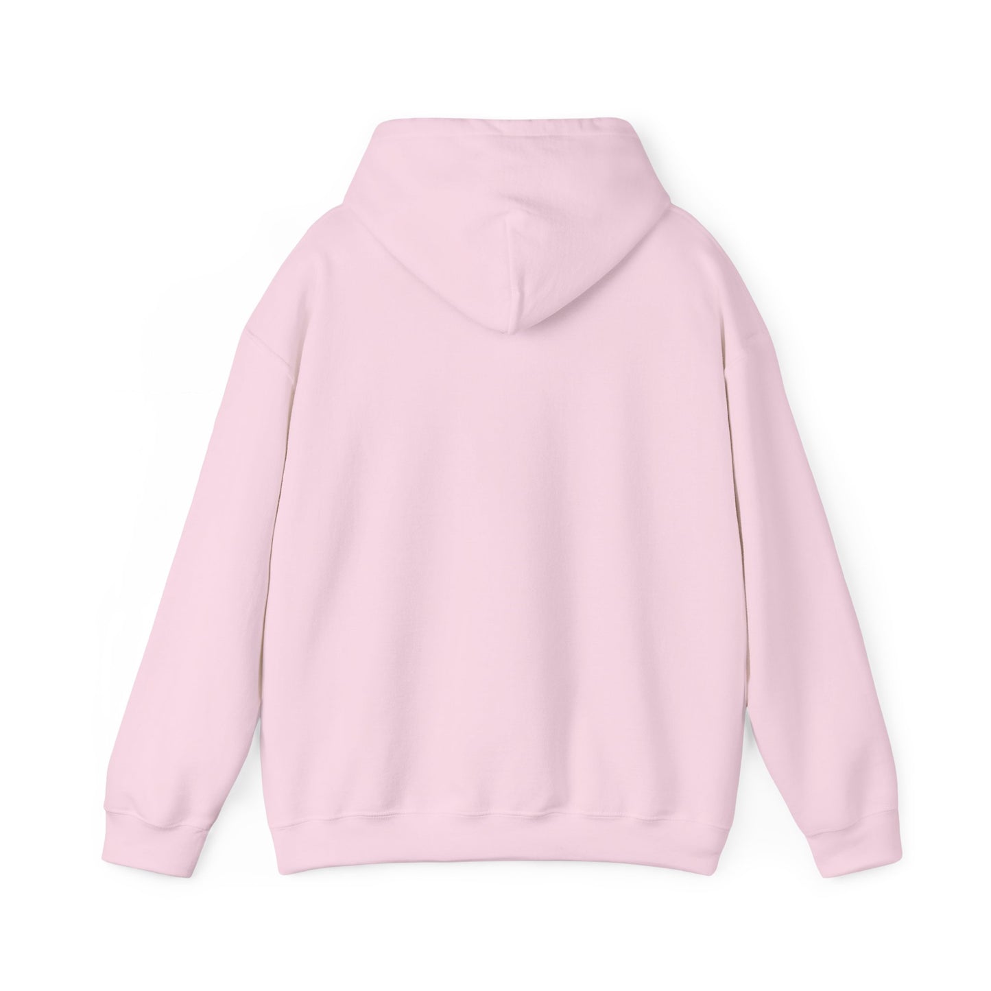 Special Interest Raccoon Hoodie– Infodumping with Pride! - Multiple Colours!