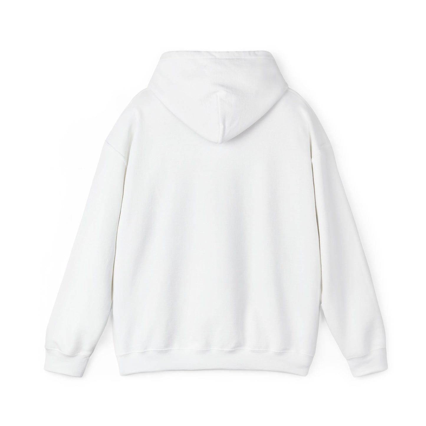 Trash Gremlin Raccoon Hoodie β No Masking Required! - Multiple Colours