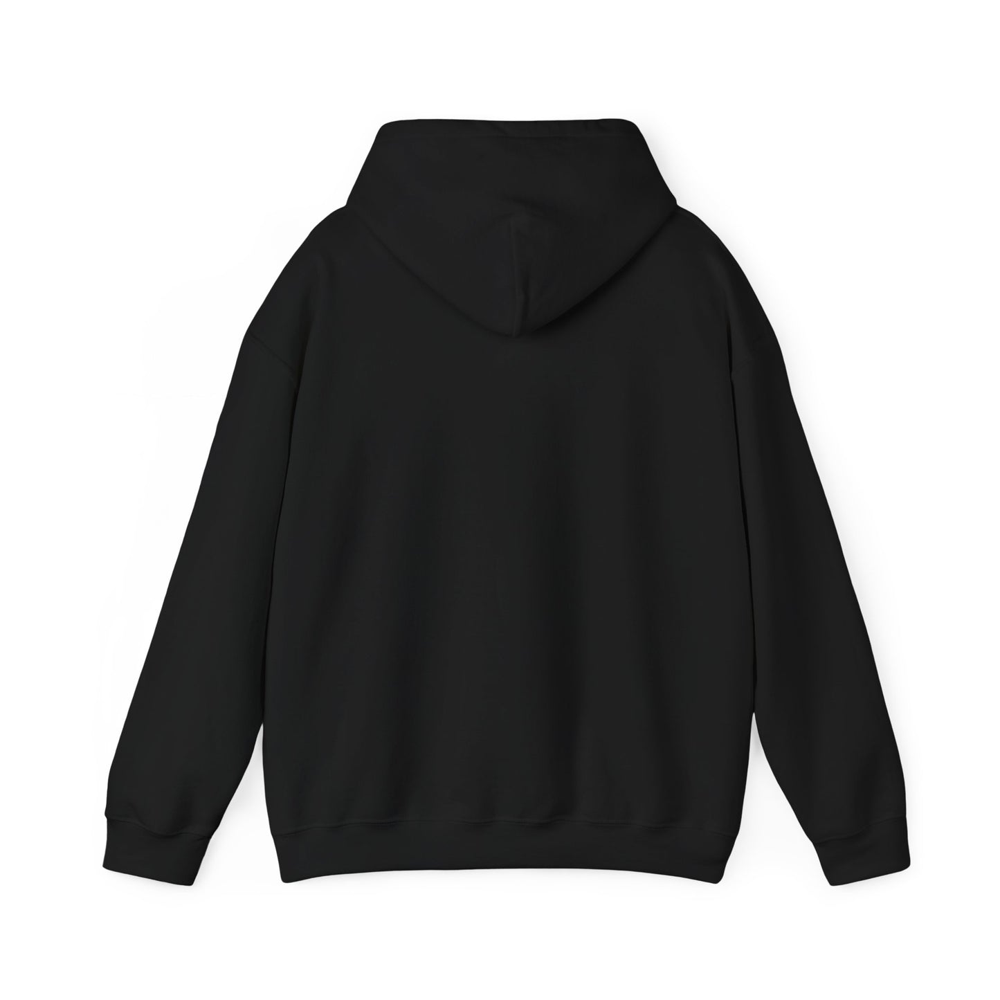 Trash Gremlin Raccoon Hoodie β No Masking Required! - Multiple Colours