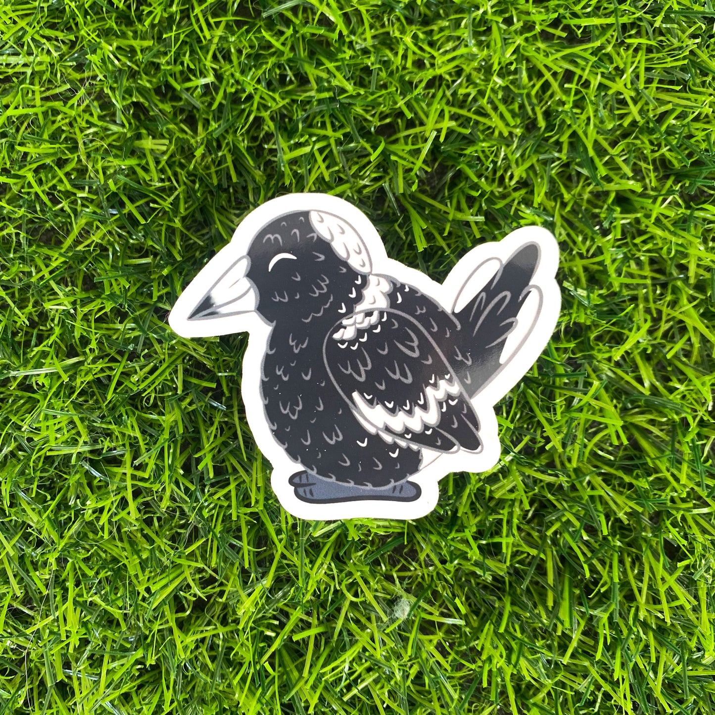 Chunky Magpie Aussie Birds Sticker