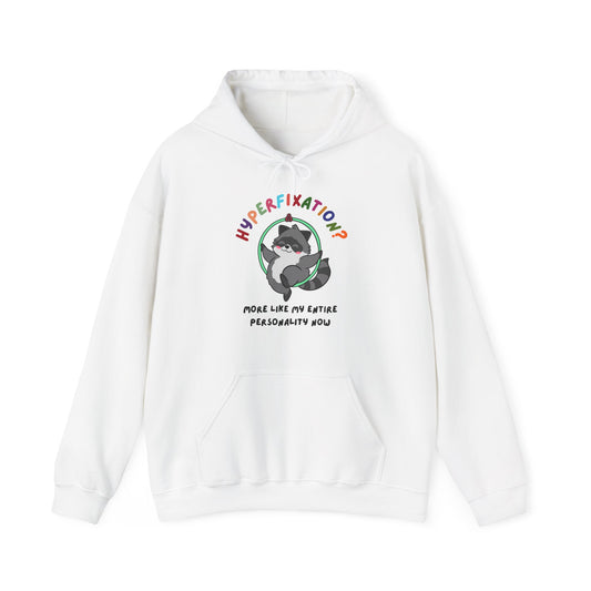 Hyperfixation Lyra/Aerial Hoop Raccoon Hoodie - Multiple Colours