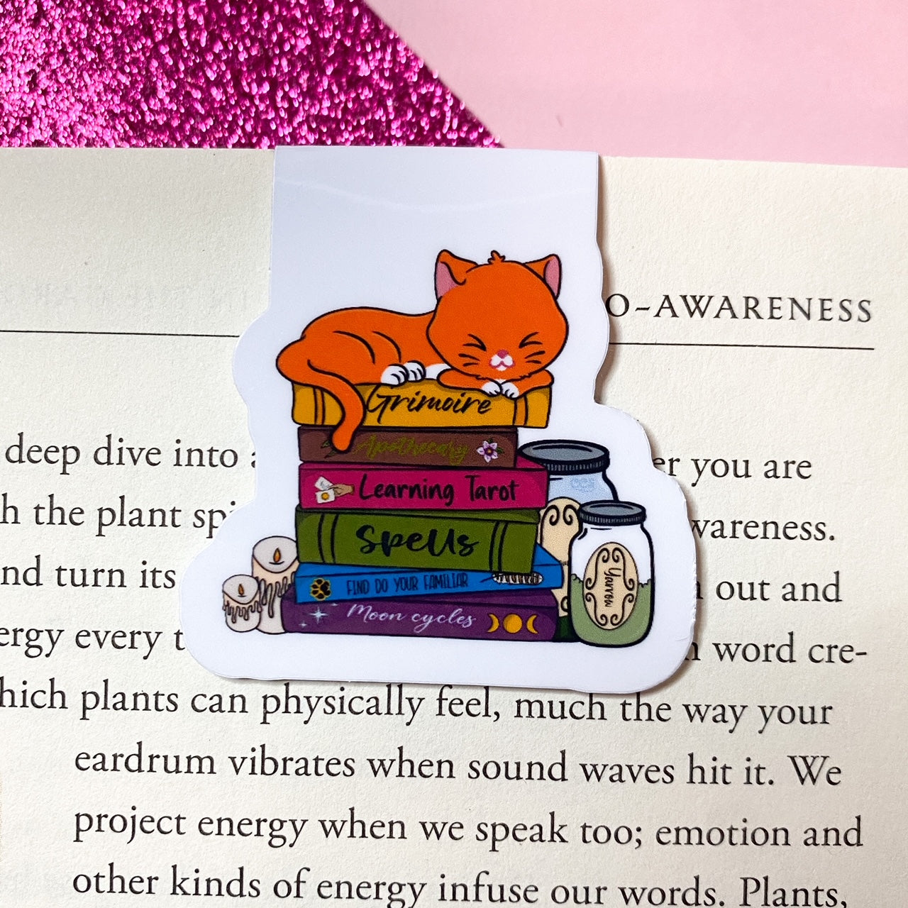 Witch's Cat Book Stack magnetic bookmark