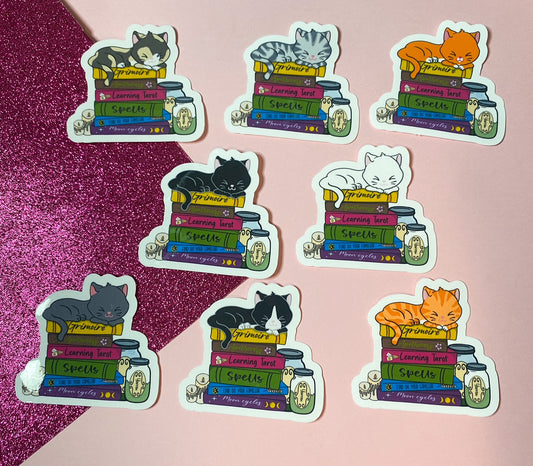 Witch's Cat Book Sticker | Multiple fur colourways